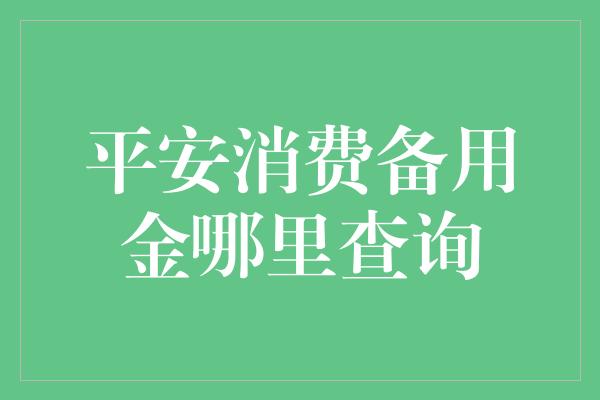 平安消费备用金哪里查询