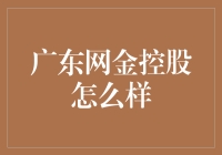 广东网金控股？听起来像是一家互联网银行！