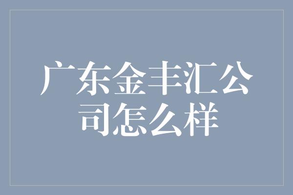 广东金丰汇公司怎么样