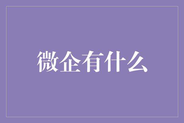 微企有什么