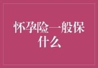 迎接新生命的甜蜜与保障：怀孕险的全面解析