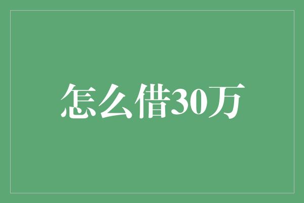 怎么借30万