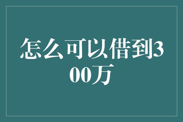 怎么可以借到300万