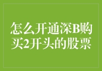 为什么我不能买深B的2开头股票？解决方法在这里！