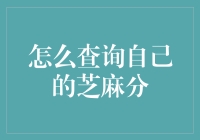 如何查询自己的芝麻分：从菜鸟到高手的进阶之路