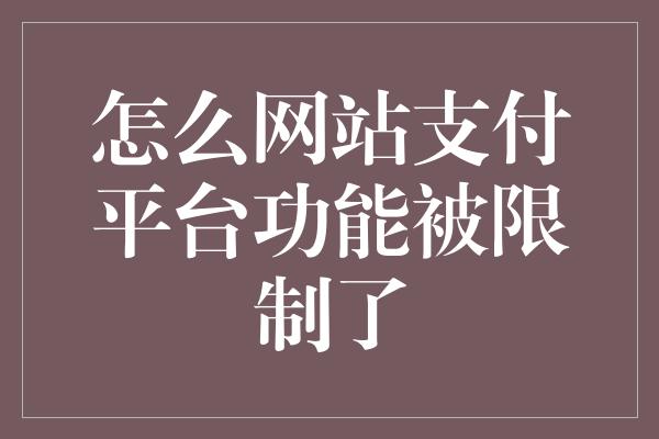 怎么网站支付平台功能被限制了