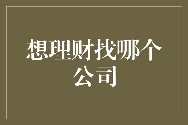 想理财找哪个公司