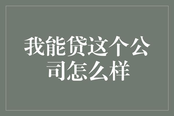 我能贷这个公司怎么样