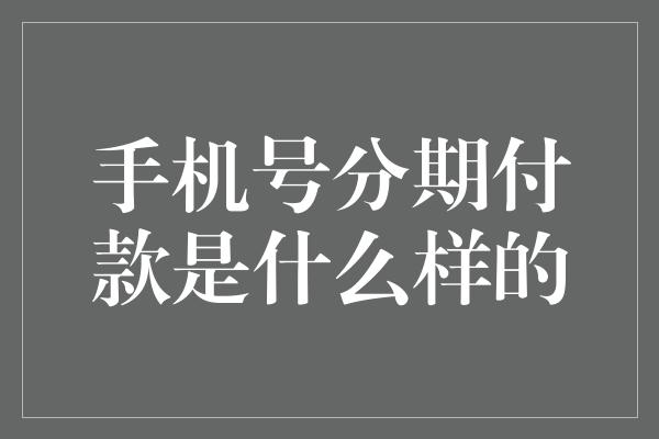 手机号分期付款是什么样的