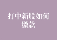 打中新股如何缴款：解锁缴款秘籍，轻松成为新股赢家