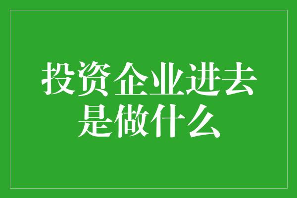 投资企业进去是做什么