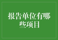 一文读懂报告单位的秘密基地：项目大全