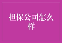 担保公司：构建金融桥梁的守护者