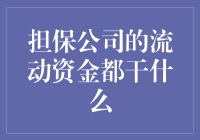 担保公司流动资金的运用：构建金融桥梁与承担风险责任