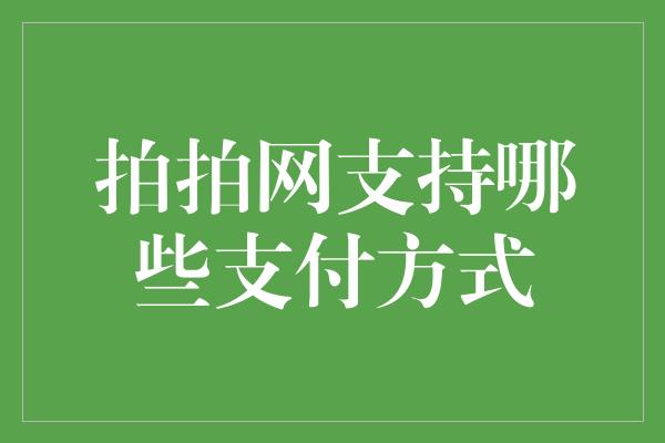 拍拍网支持哪些支付方式