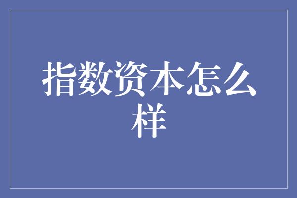 指数资本怎么样