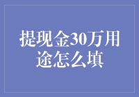 提取30万元现金的合理用途填报策略：平衡财务稳健与生活需求