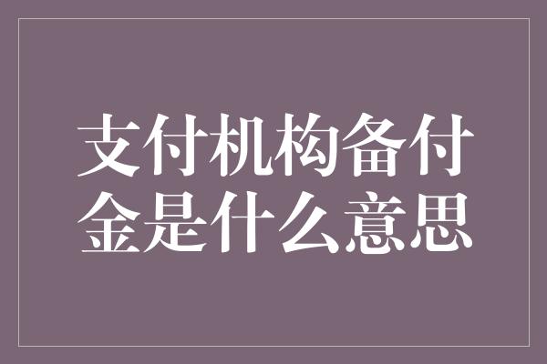 支付机构备付金是什么意思