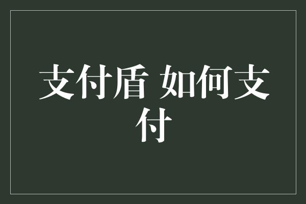 支付盾 如何支付