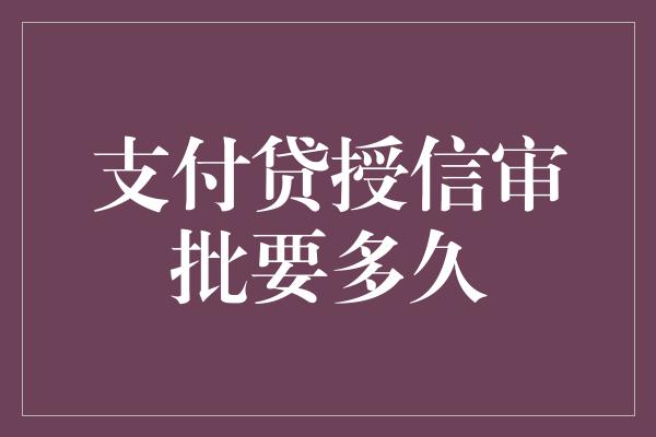 支付贷授信审批要多久