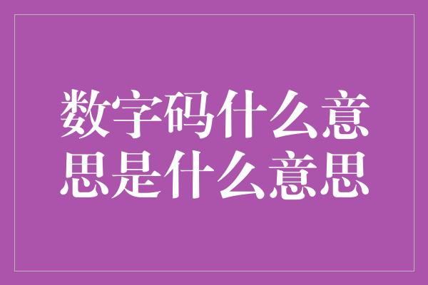 数字码什么意思是什么意思