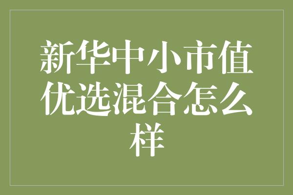 新华中小市值优选混合怎么样