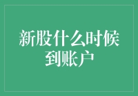 新股申购流程揭秘：揭秘新股什么时候到账户