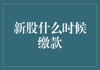 新股申购缴款策略：把握时机提升中签概率