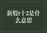 股市新手，t十2的实用指南：摇身一变，带你游刃有余地应对股市