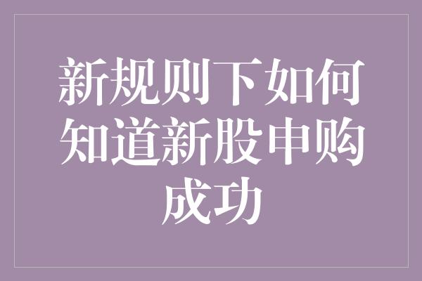 新规则下如何知道新股申购成功