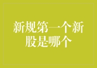 新规下的投资机遇：谁将成为第一个新股王？