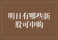 每日新股抢鲜报：明日新股申购指南，你的财富密码在此！