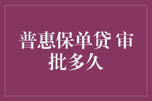 普惠保单贷 审批多久