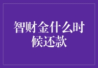 智财金还款周期：理解与规划