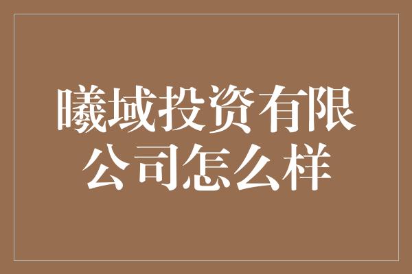 曦域投资有限公司怎么样