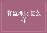 有盈理财：小众理财平台的潜力与风险