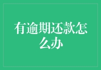 逾期还款的应对策略：从失信到信用提升的转型之路