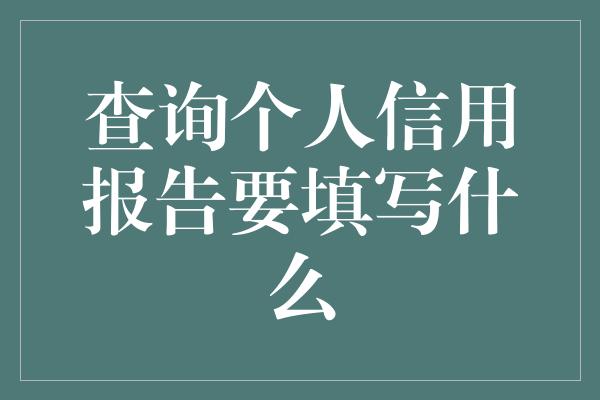 查询个人信用报告要填写什么