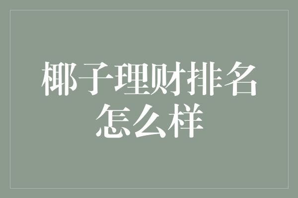 椰子理财排名怎么样