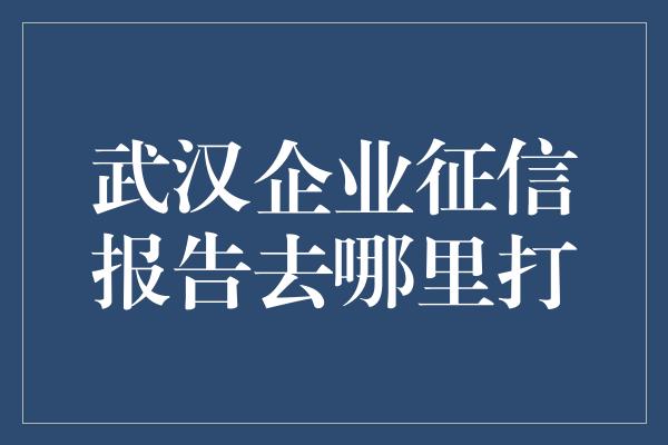 武汉企业征信报告去哪里打