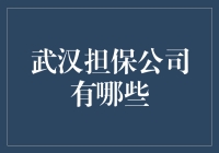 武汉市担保公司的多元化选择与分析