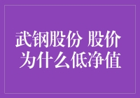 破解武钢股份股价之谜：为何其净值持续低迷？