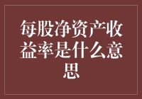 每股净资产收益率：企业价值评估的新视角