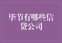 毕节信贷公司的选择与比较