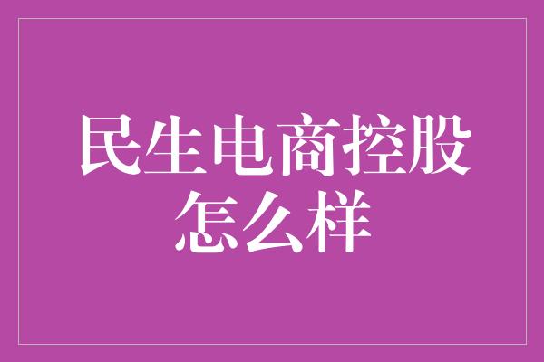 民生电商控股怎么样