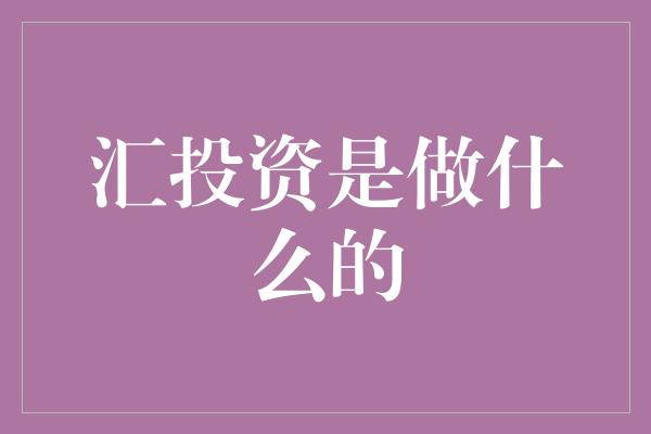 汇投资是做什么的