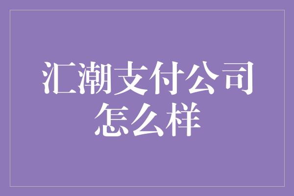 汇潮支付公司怎么样