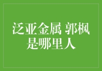 泛亚金属董事长郭枫的家乡：从家乡到商界的辉煌之路