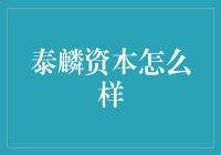 泰麟资本：专业化的投资策略与卓越的投资回报