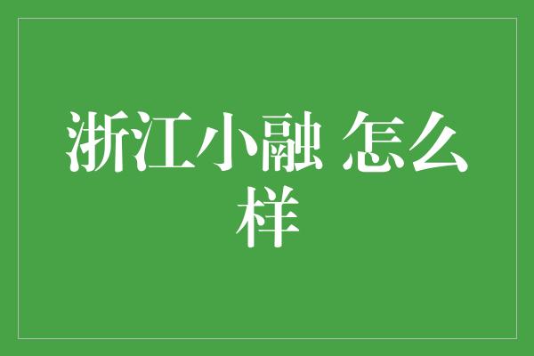 浙江小融 怎么样